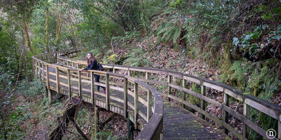 Pasarelas del río Mao y necrópolis de San Vítor en la Ribeira Sacra