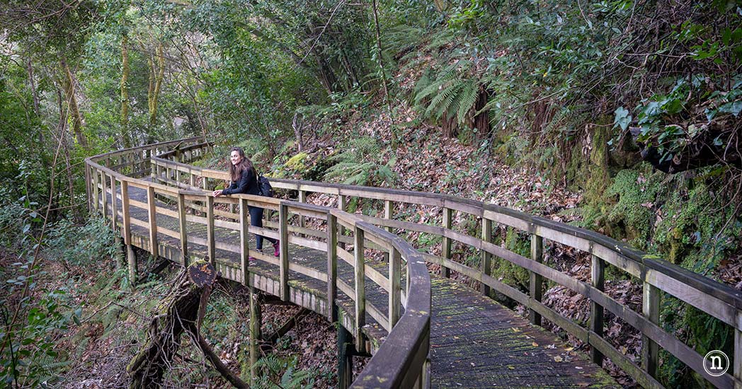 Pasarelas del río Mao y necrópolis de San Vítor en la Ribeira Sacra