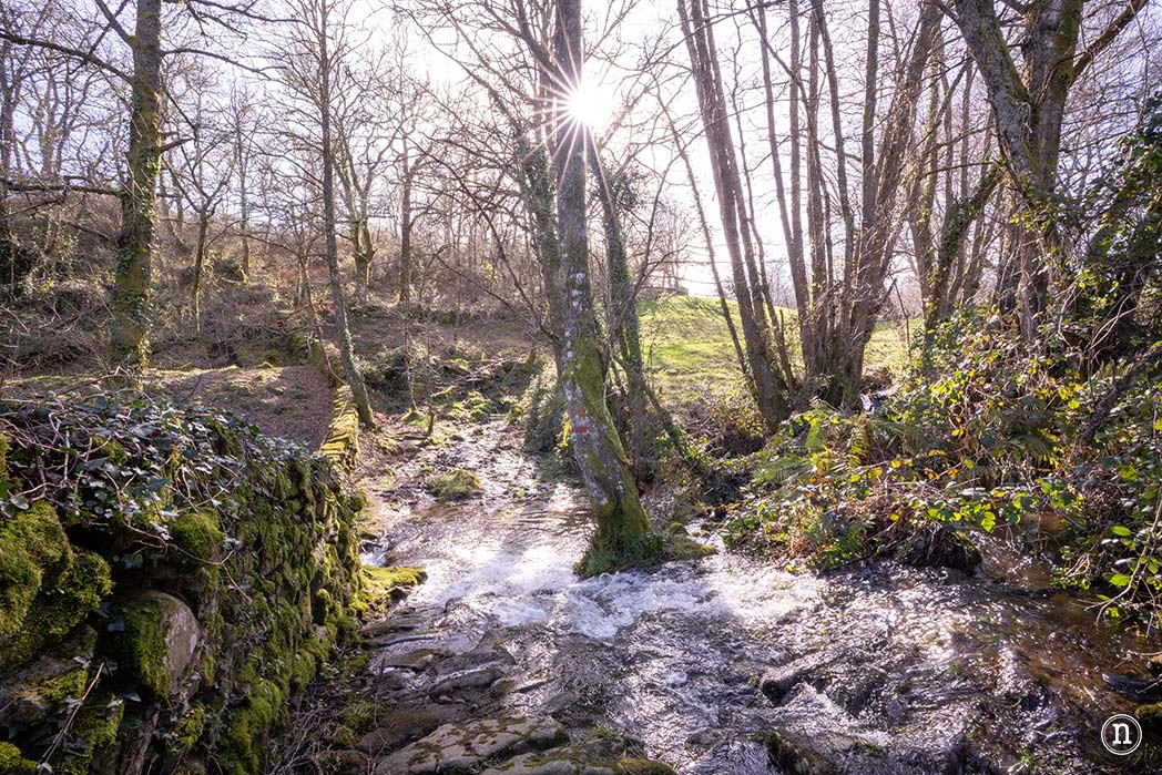 Pasarelas del río Mao y necrópolis de San Vítor en la Ribeira Sacra