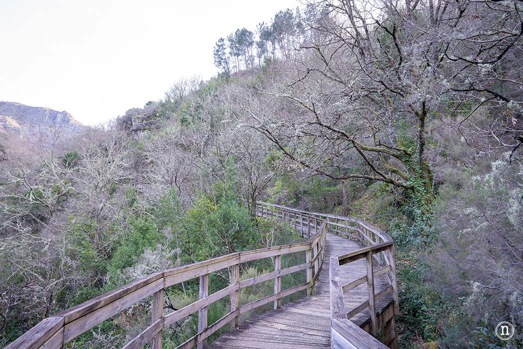 Pasarelas del río Mao y necrópolis de San Vítor en la Ribeira Sacra