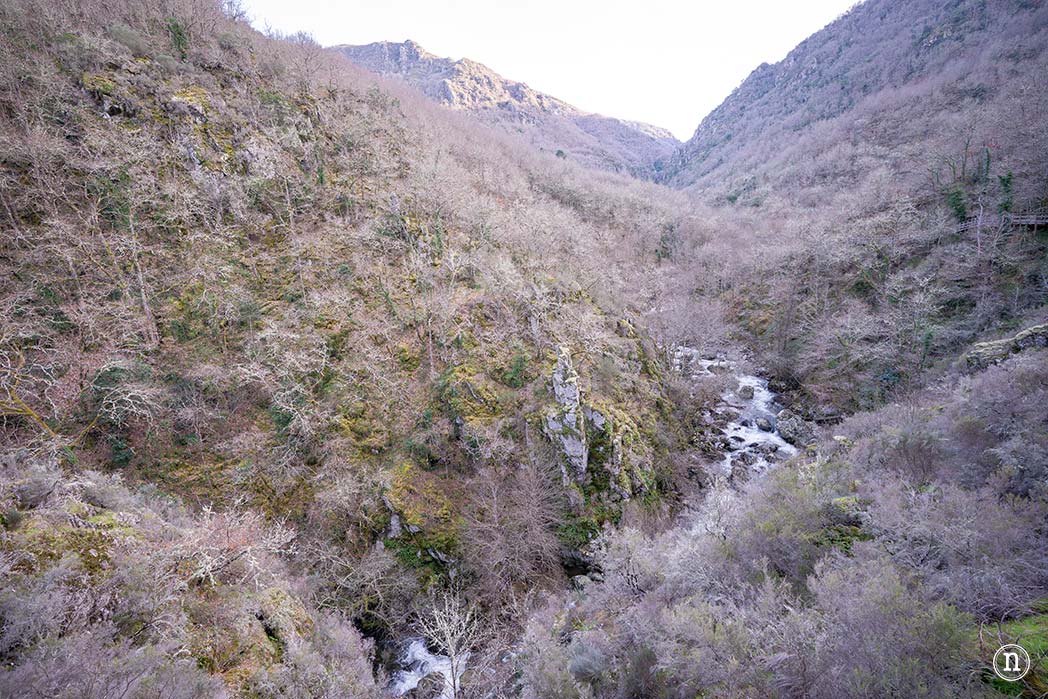 Pasarelas del río Mao y necrópolis de San Vítor en la Ribeira Sacra