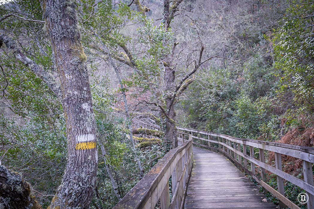 Pasarelas del río Mao y necrópolis de San Vítor en la Ribeira Sacra
