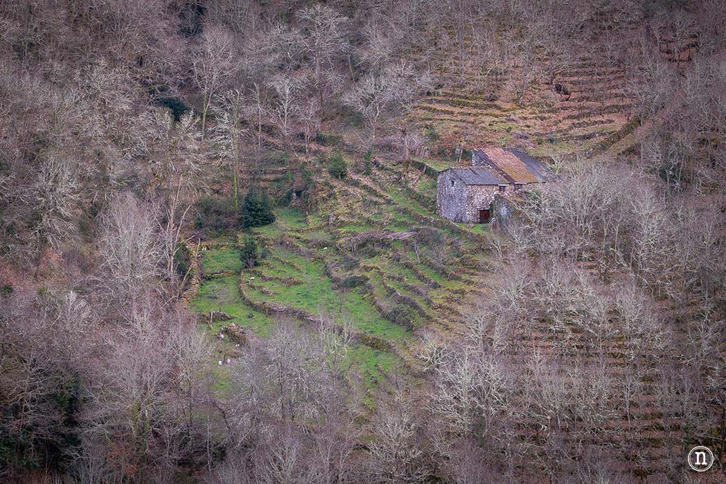Pasarelas del río Mao y necrópolis de San Vítor en la Ribeira Sacra