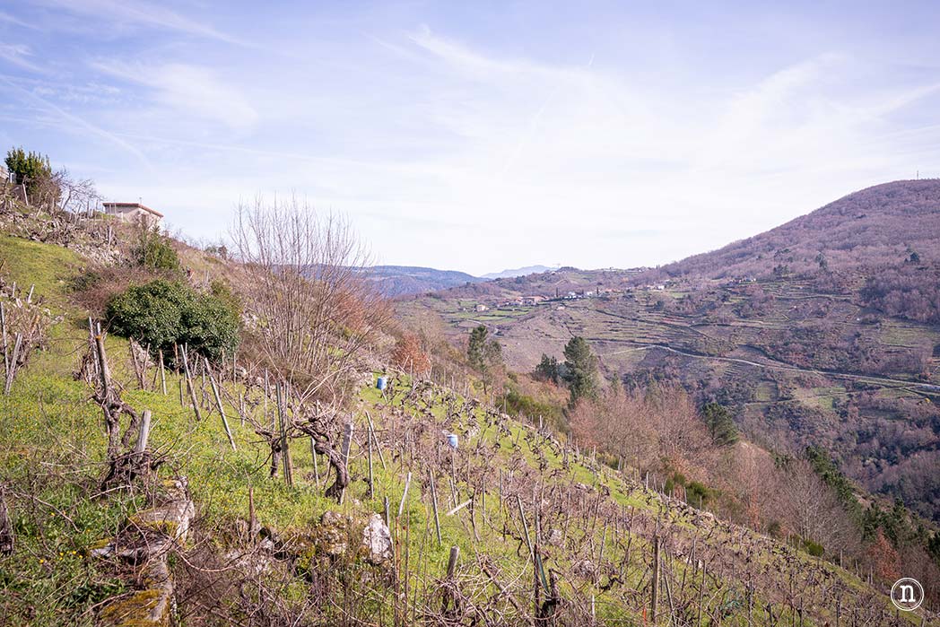 Pasarelas del río Mao y necrópolis de San Vítor en la Ribeira Sacra