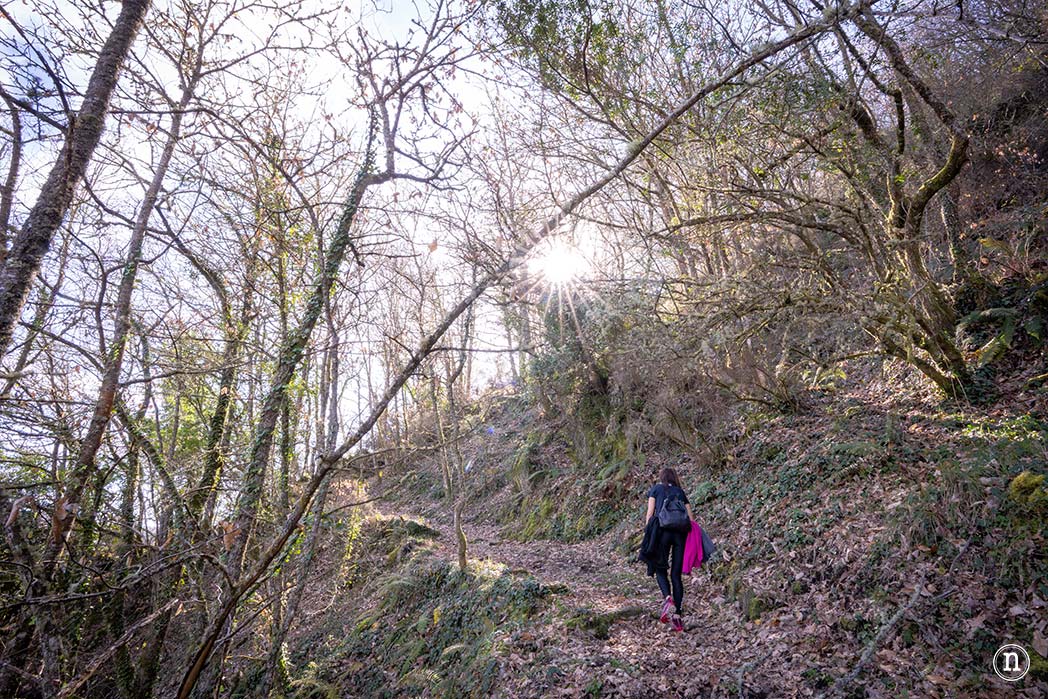 Pasarelas del río Mao y necrópolis de San Vítor en la Ribeira Sacra
