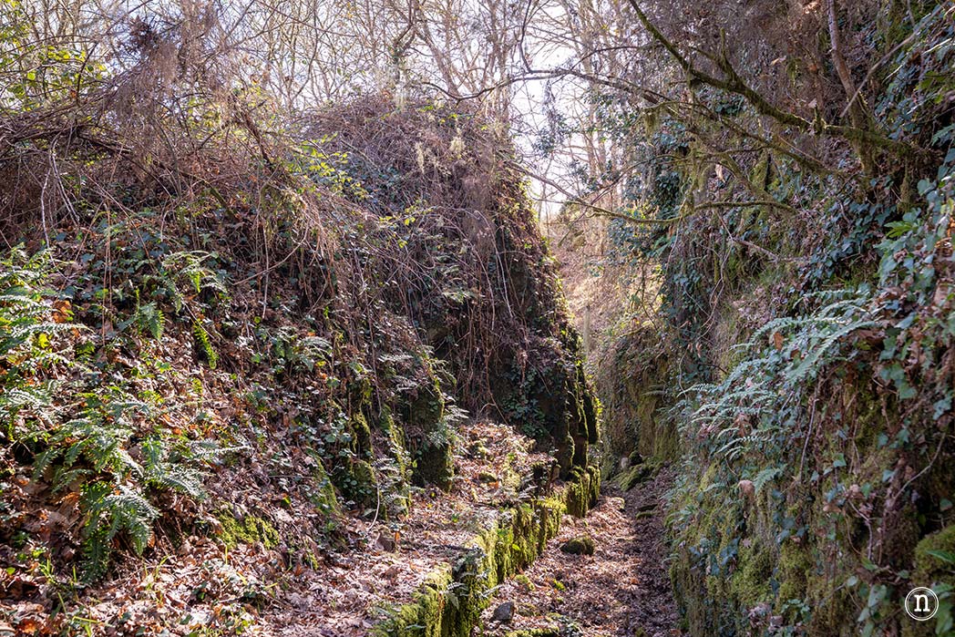 Pasarelas del río Mao y necrópolis de San Vítor en la Ribeira Sacra