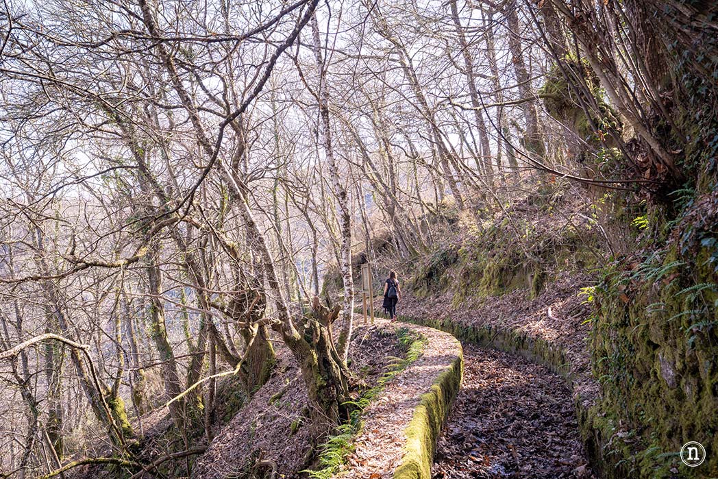 Pasarelas del río Mao y necrópolis de San Vítor en la Ribeira Sacra