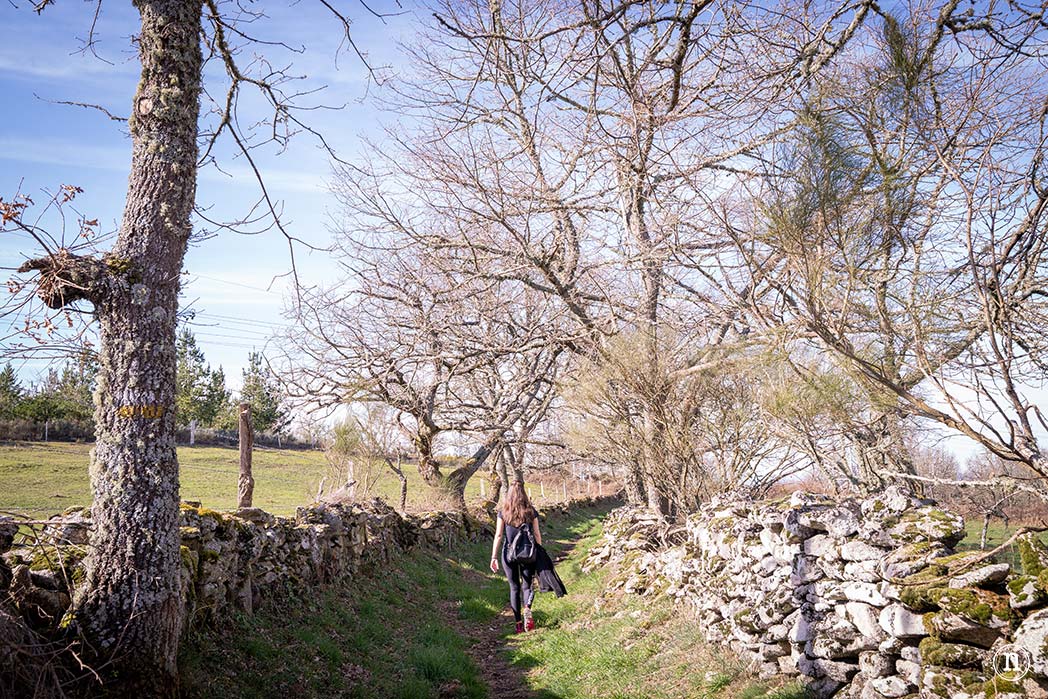 Pasarelas del río Mao y necrópolis de San Vítor en la Ribeira Sacra