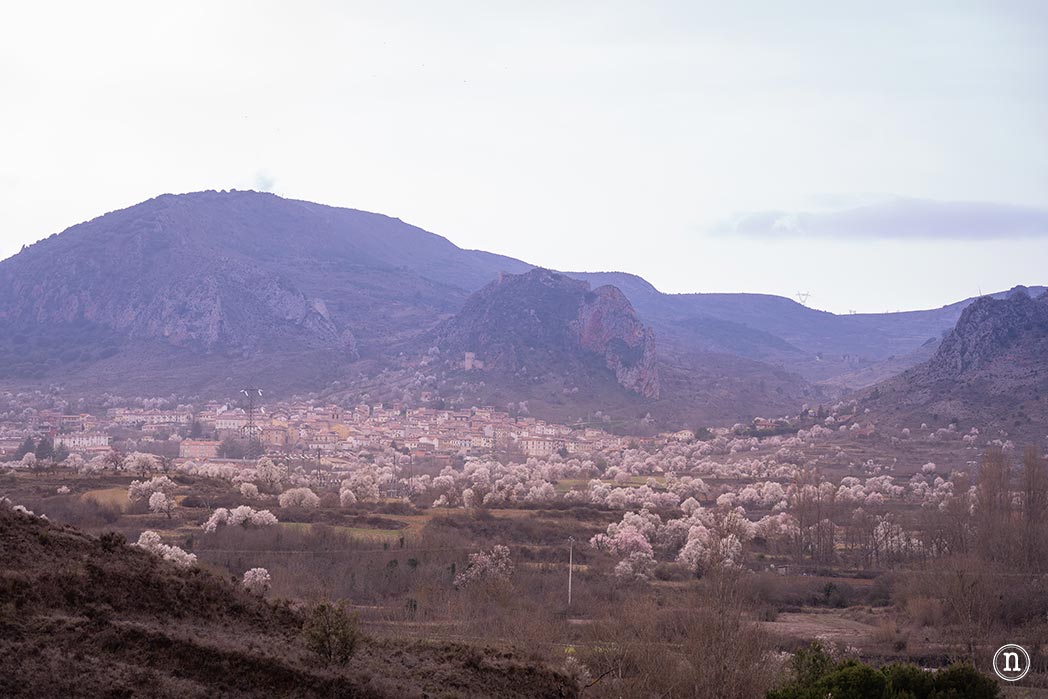 Ruta de los almendros en Poza de la Sal, Burgos