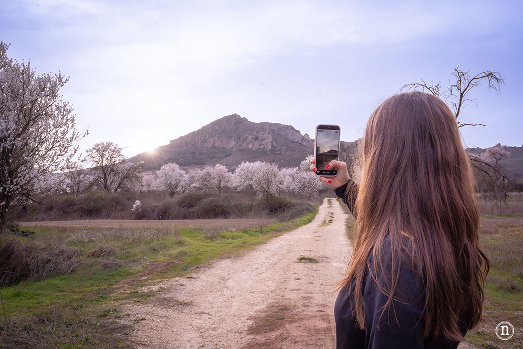 Ruta de los almendros en Poza de la Sal, Burgos