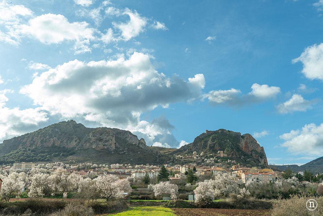 Ruta de los almendros en Poza de la Sal, Burgos