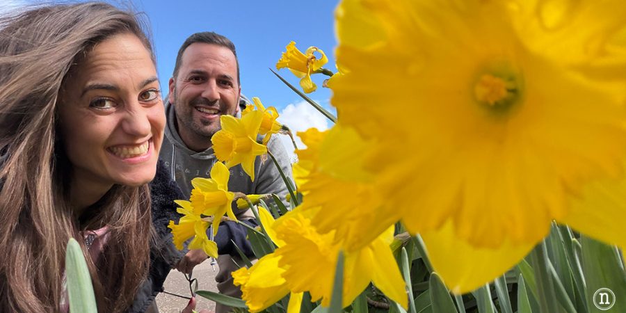 Ruta de los narcisos en el Geoparque de Las Loras