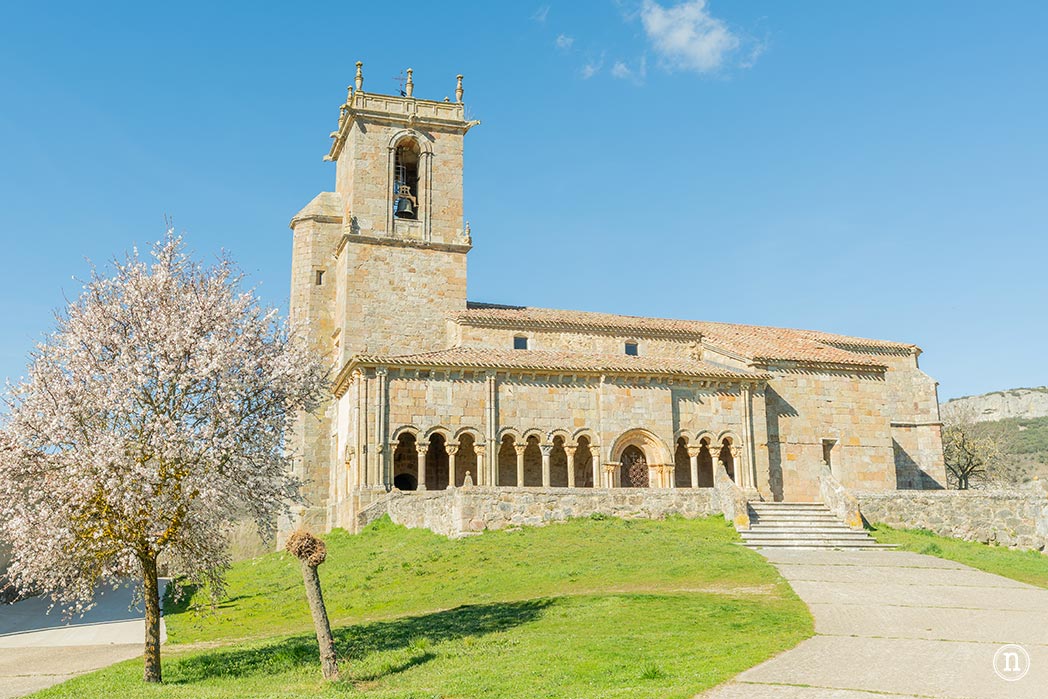 Ruta de los narcisos en el Geoparque de Las Loras 