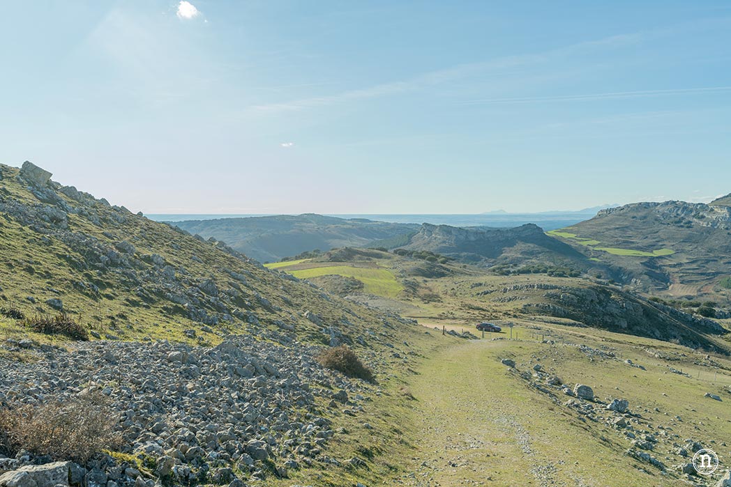 Ruta de los narcisos en el Geoparque de Las Loras 