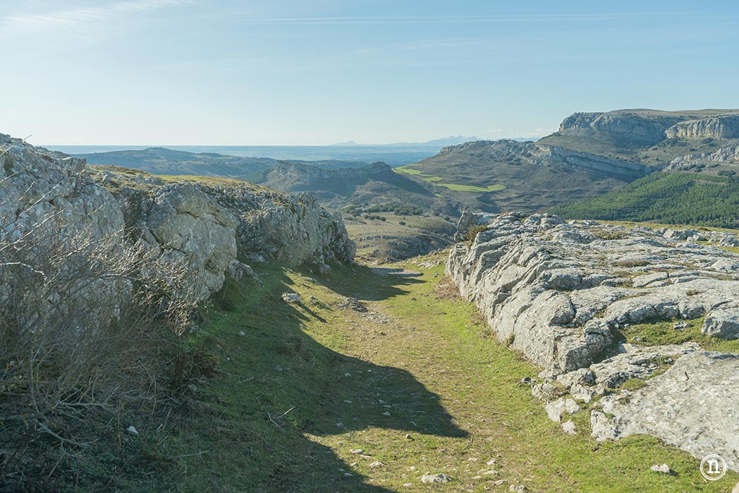 Ruta de los narcisos en el Geoparque de Las Loras 