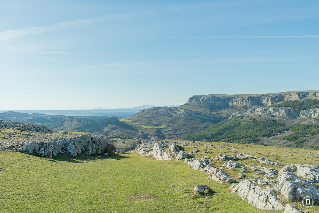 Ruta de los narcisos en el Geoparque de Las Loras 