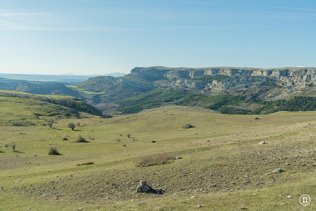 Ruta de los narcisos en el Geoparque de Las Loras 