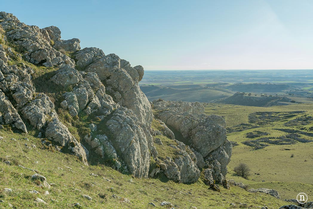 Ruta de los narcisos en el Geoparque de Las Loras 