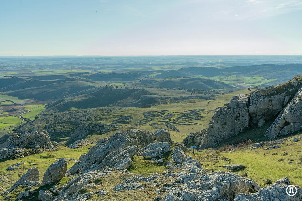 Ruta de los narcisos en el Geoparque de Las Loras 