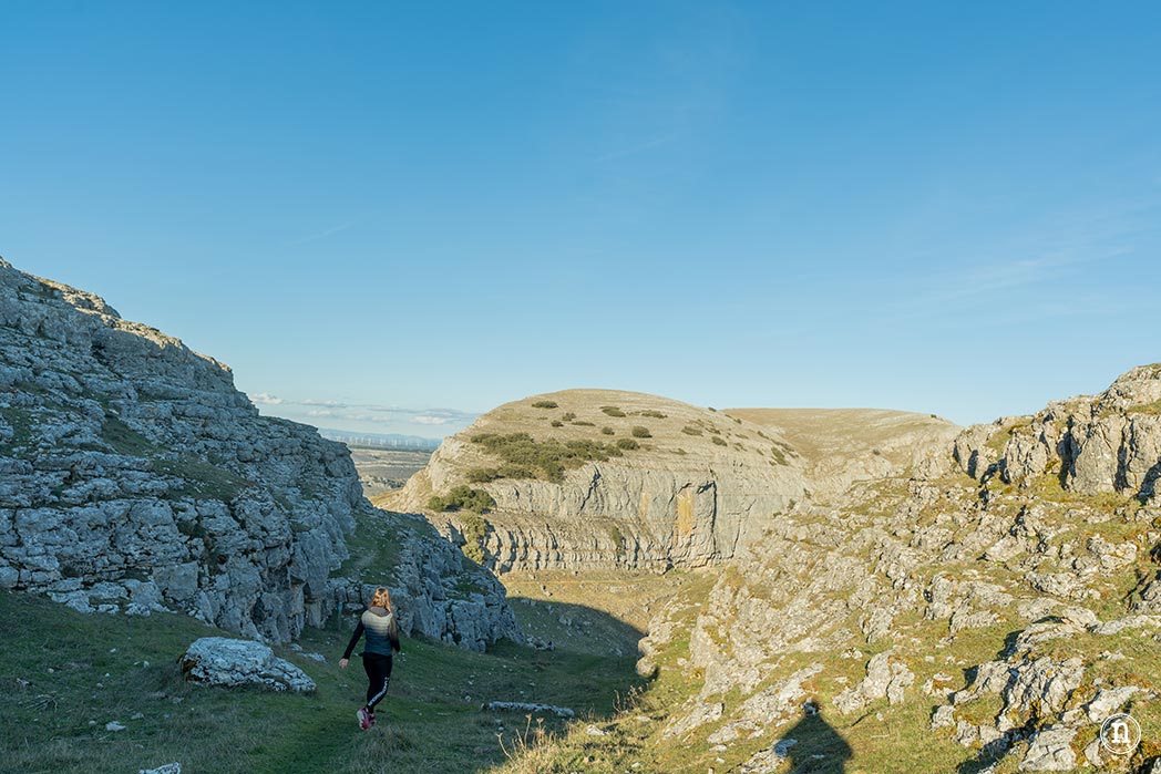 Ruta de los narcisos en el Geoparque de Las Loras 