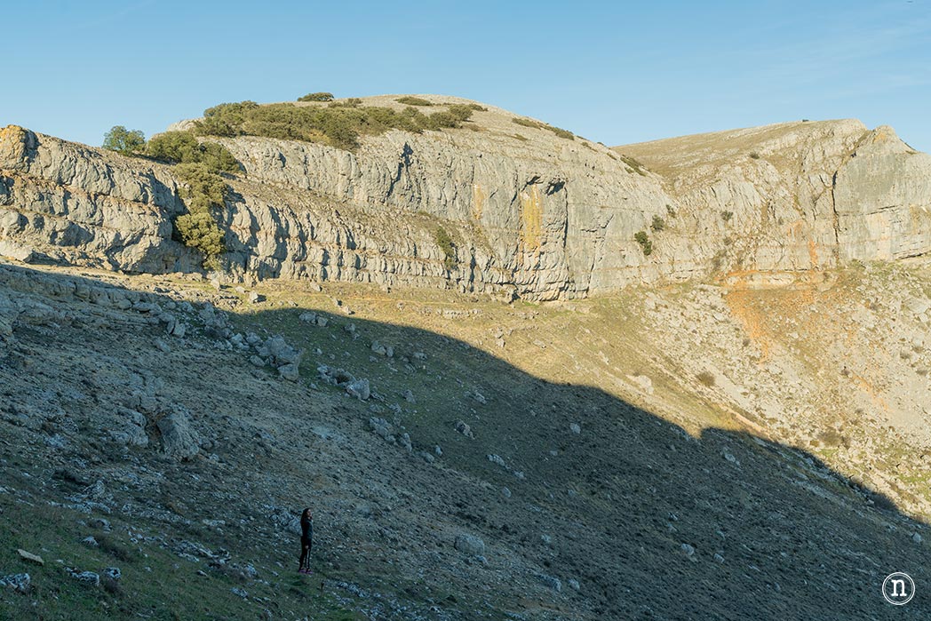 Ruta de los narcisos en el Geoparque de Las Loras 