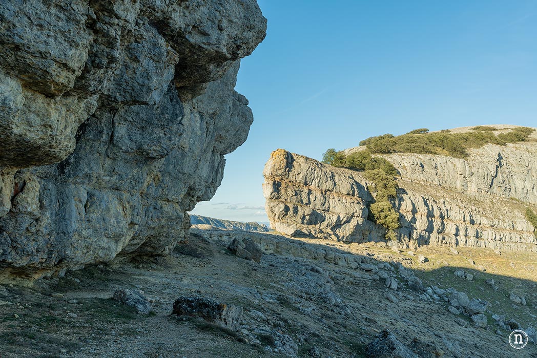 Ruta de los narcisos en el Geoparque de Las Loras 
