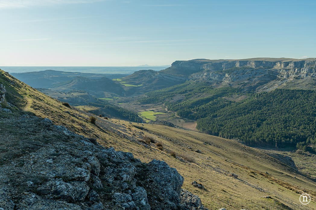 Ruta de los narcisos en el Geoparque de Las Loras 