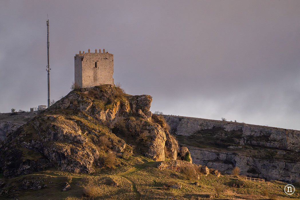 Ruta de los narcisos en el Geoparque de Las Loras 