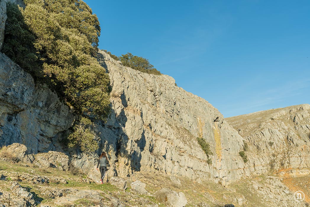 Ruta de los narcisos en el Geoparque de Las Loras 