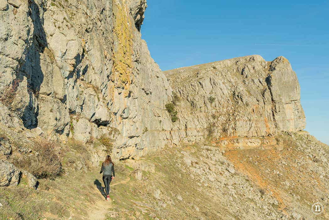 Ruta de los narcisos en el Geoparque de Las Loras 