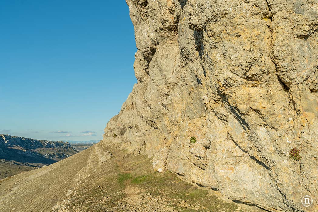 Ruta de los narcisos en el Geoparque de Las Loras 