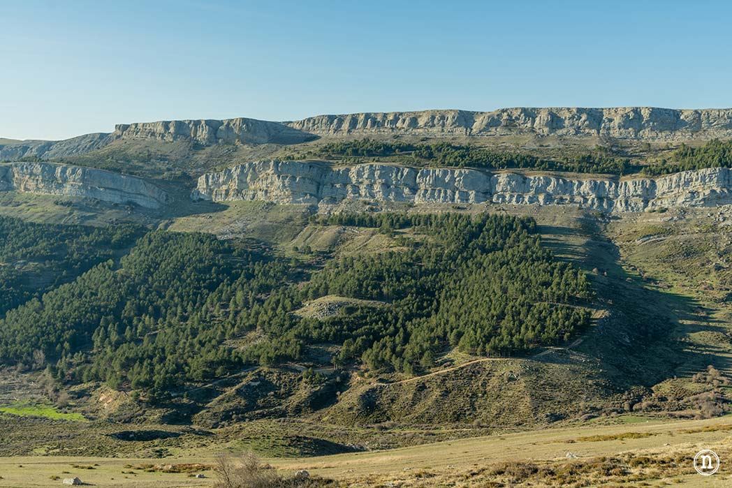 Ruta de los narcisos en el Geoparque de Las Loras 