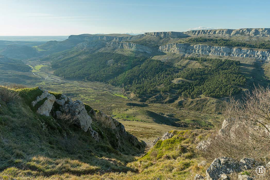 Ruta de los narcisos en el Geoparque de Las Loras 
