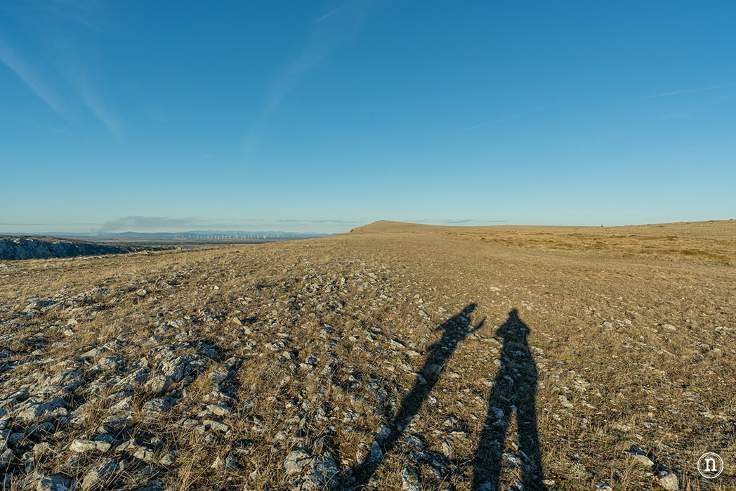 Ruta de los narcisos en el Geoparque de Las Loras 