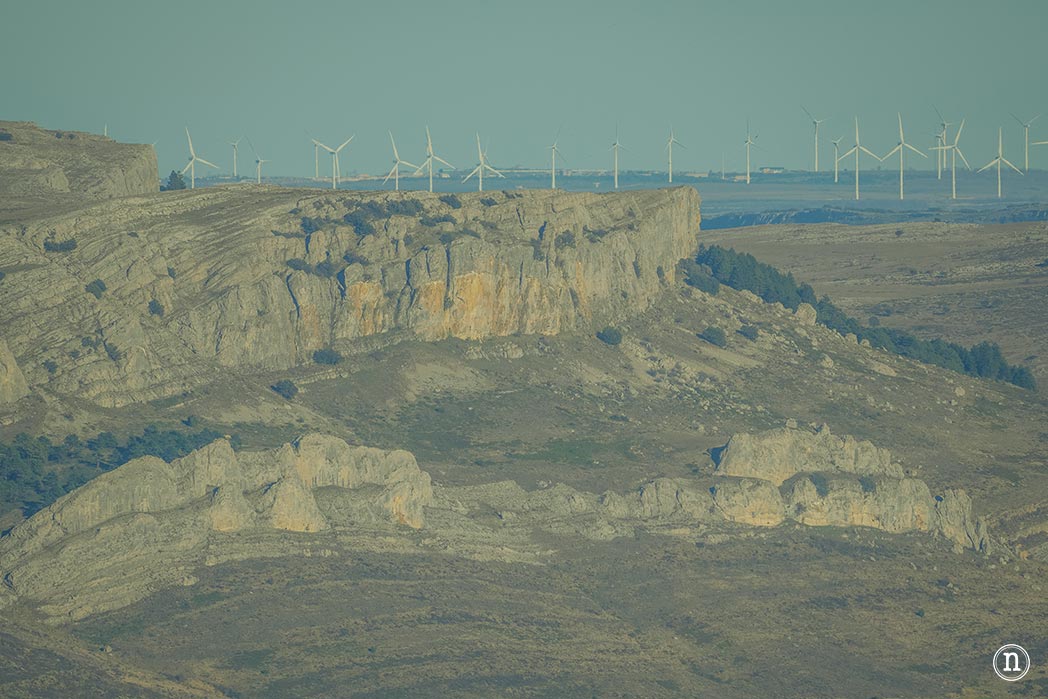 Ruta de los narcisos en el Geoparque de Las Loras 