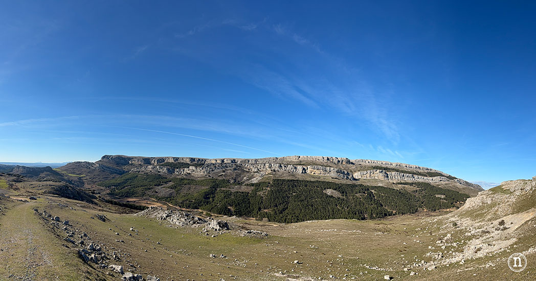 Ruta de los narcisos en el Geoparque de Las Loras 