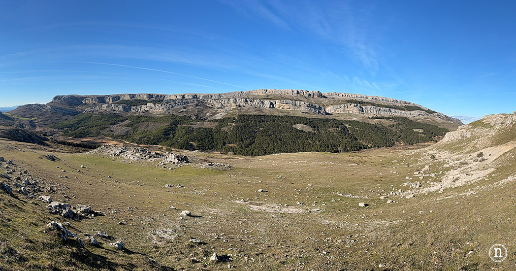 Ruta de los narcisos en el Geoparque de Las Loras 