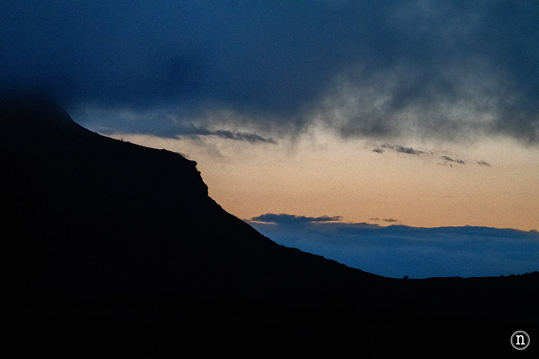 Ruta de los narcisos en el Geoparque de Las Loras