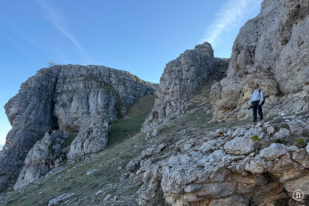 Ruta de los narcisos en el Geoparque de Las Loras 