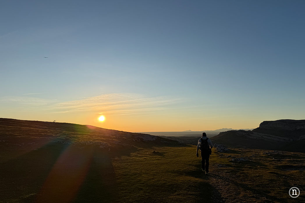 Ruta de los narcisos en el Geoparque de Las Loras 