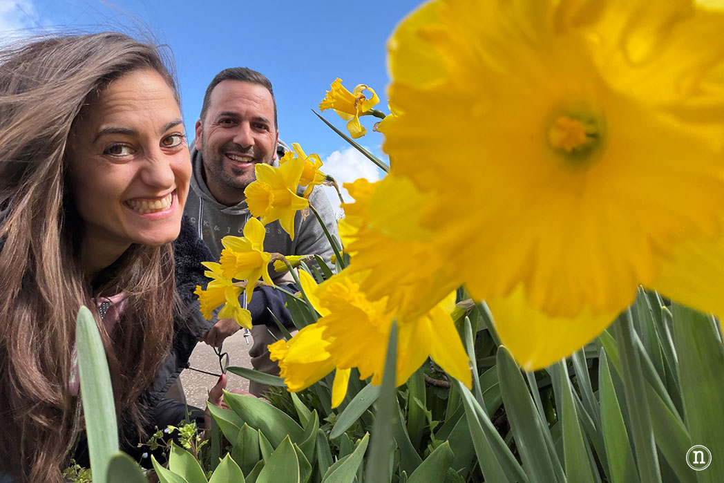 Ruta de los narcisos en el Geoparque de Las Loras 