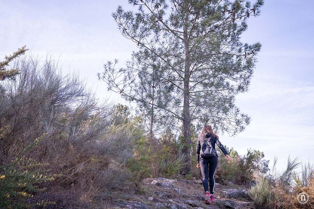 Cañón del Sil y sus miradores 
