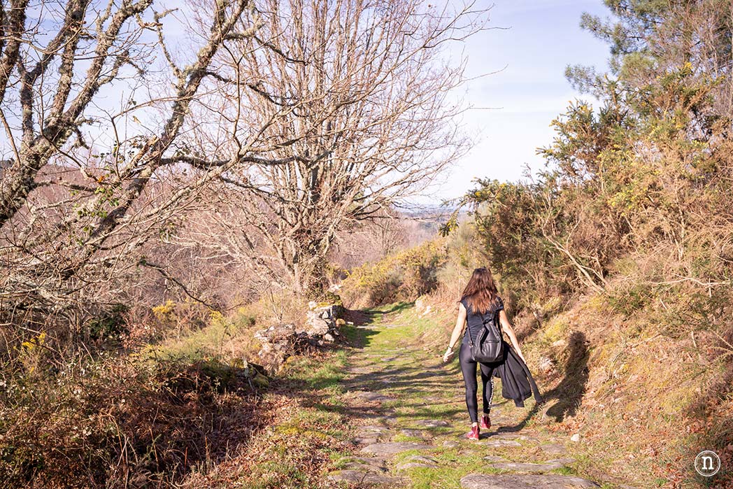 Cañón del Sil y sus miradores