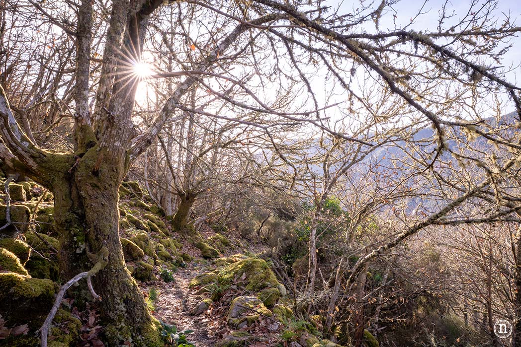 Cañón del Sil y sus miradores