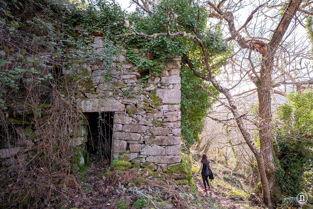 Cañón del Sil y sus miradores