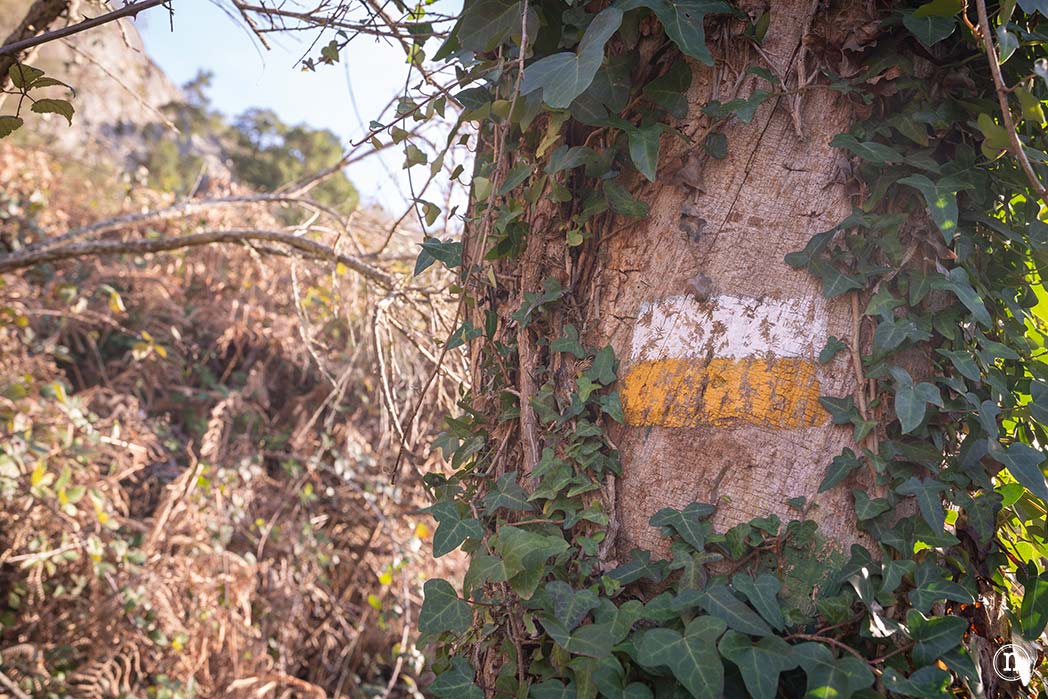 Cañón del Sil y sus miradores