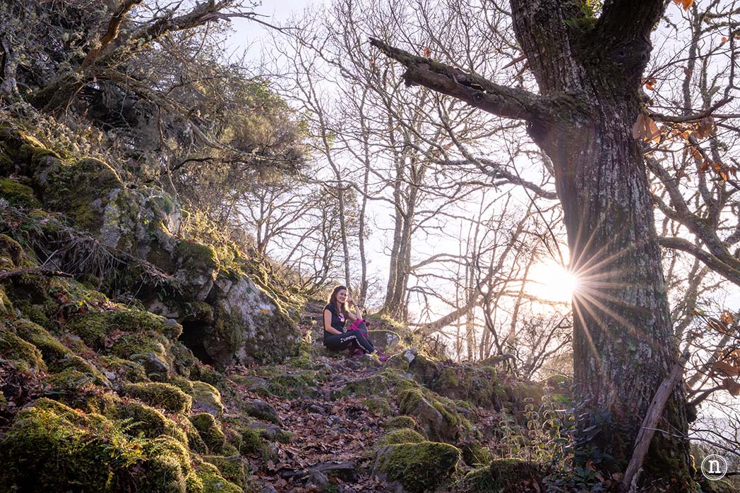Cañón del Sil y sus miradores 