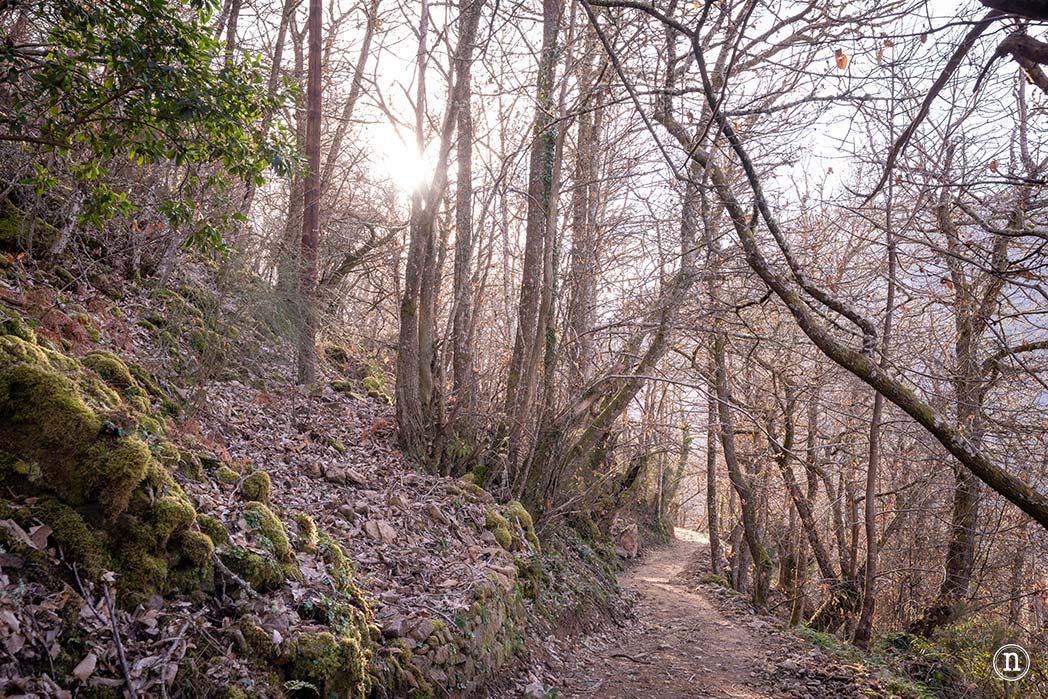 Cañón del Sil y sus miradores
