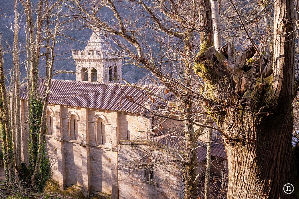 Cañón del Sil y sus miradores