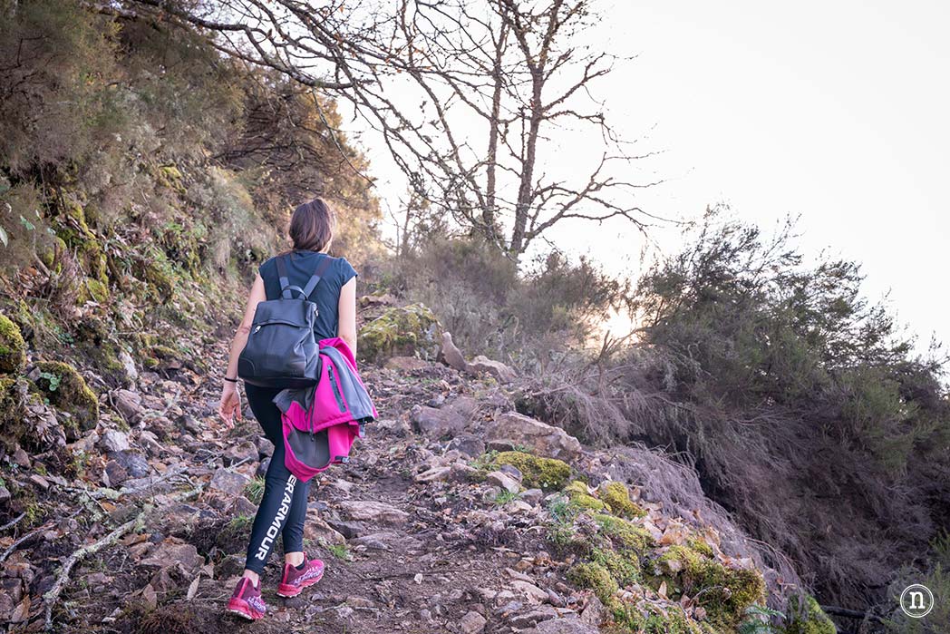 Cañón del Sil y sus miradores